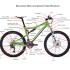 Things To Know About Your Mountain Bike Parts